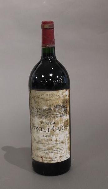 1 Mag CH. PONTET CANET Pauillac GCC 1994...