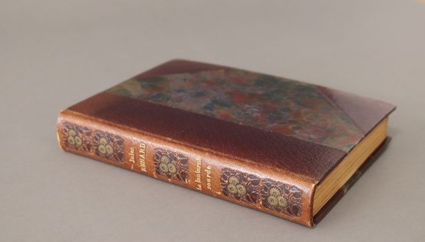 Jules RENARD, La Lanterne Sourde, COQUECIGRUES,...