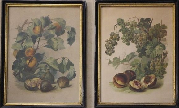 DEUX LITHOGRAPHIES en couleurs des natures...