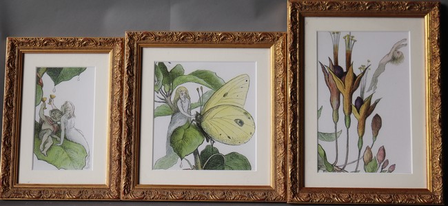 TROIS REPRODUCTIONS en couleurs représentant...