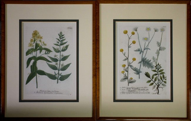D'Après les gravures originales de la collection...