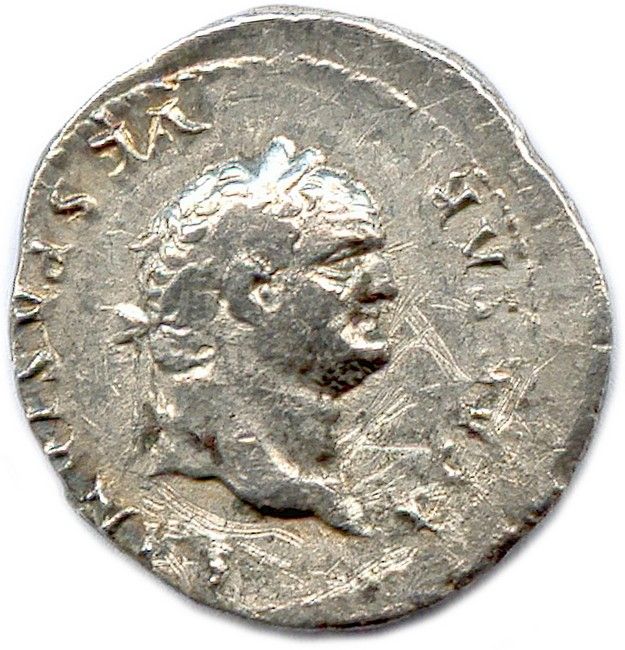 TITUS 79-81	