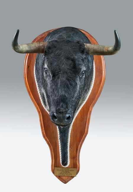 Muruno