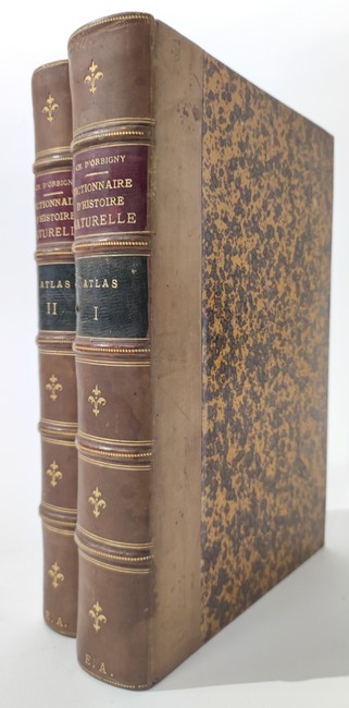 D'ORBIGNY (Charles) : Dictionnaire universel...