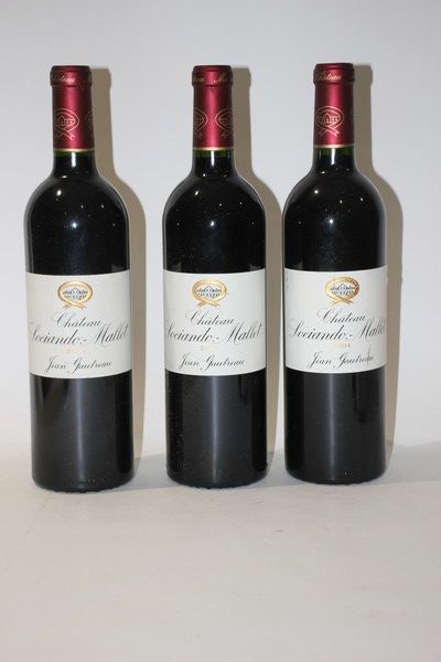 3 Blles CH. SOCIANDO MALLET Haut-Médoc 2...