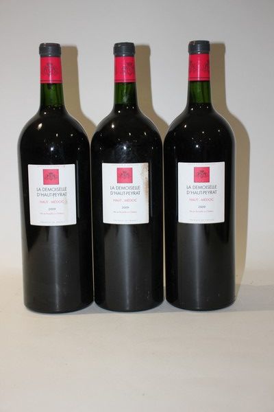 3 Mags. LA DEMOISELLE D'HAUT PEYRAT Haut-Médoc...
