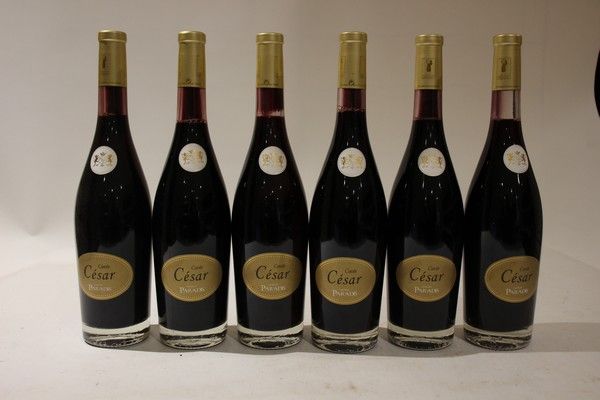 6 Blles COTES DE PROVENCE rouge Cuvée César...