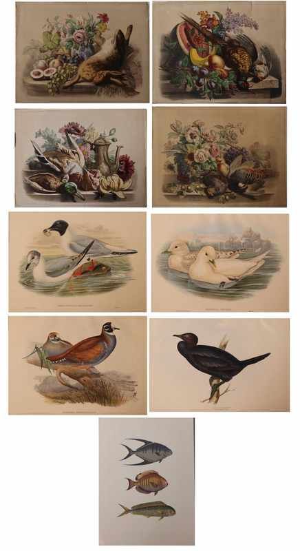 LOT DE 9 LITHOGRAPHIES ou GRAVURES en couleurs...
