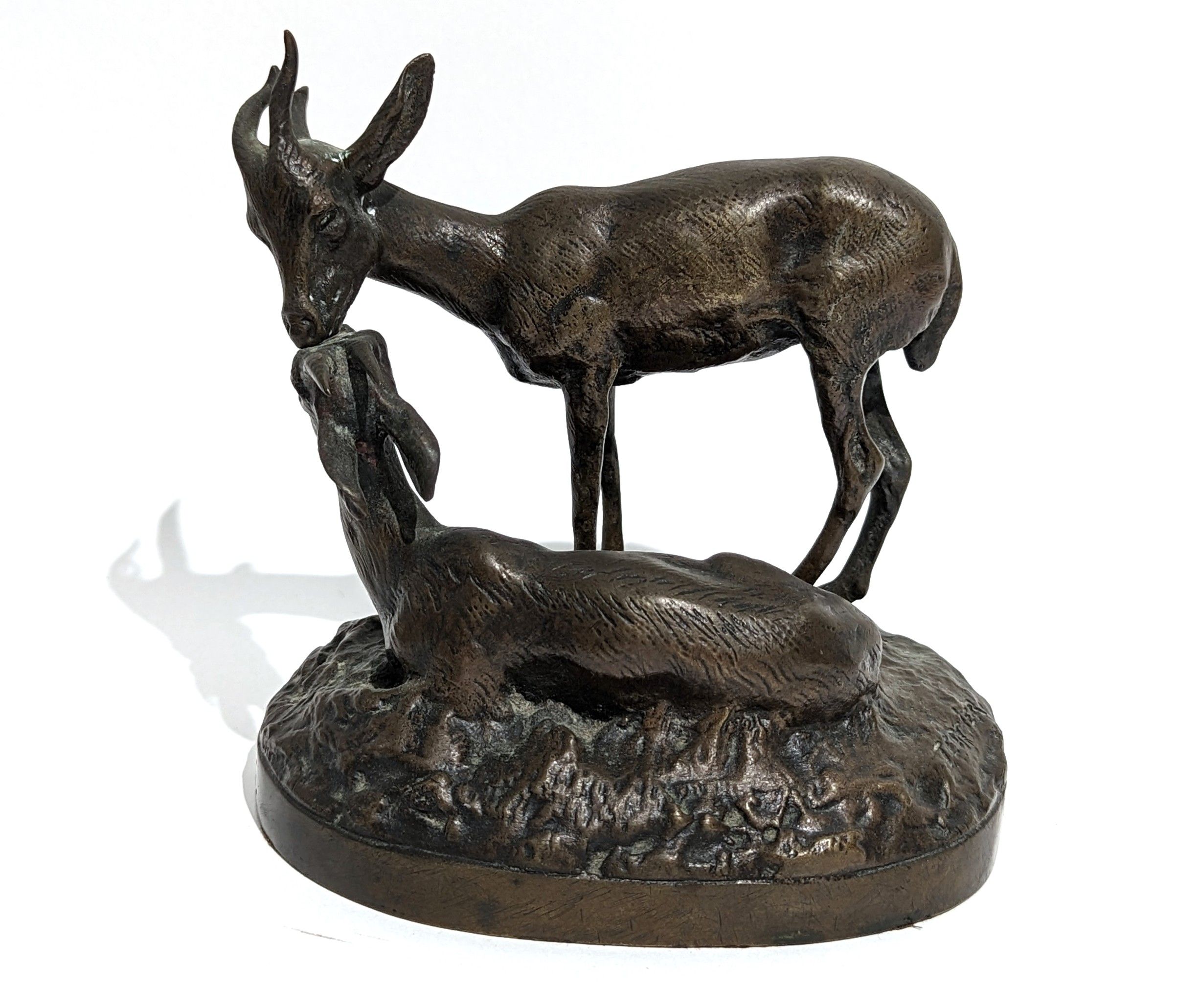 Jules Laurent TERRIER (XX)