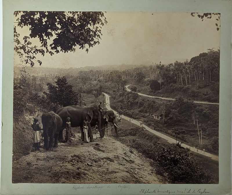TROIS PHOTOS, vers 1920