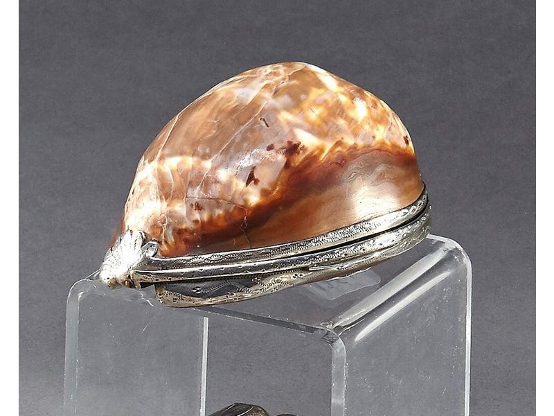 TABATIERE en coquillage montée argent fileté,...