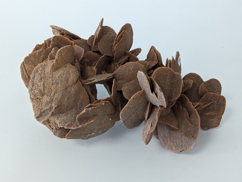IMPORTANTE ROSE DES SABLES