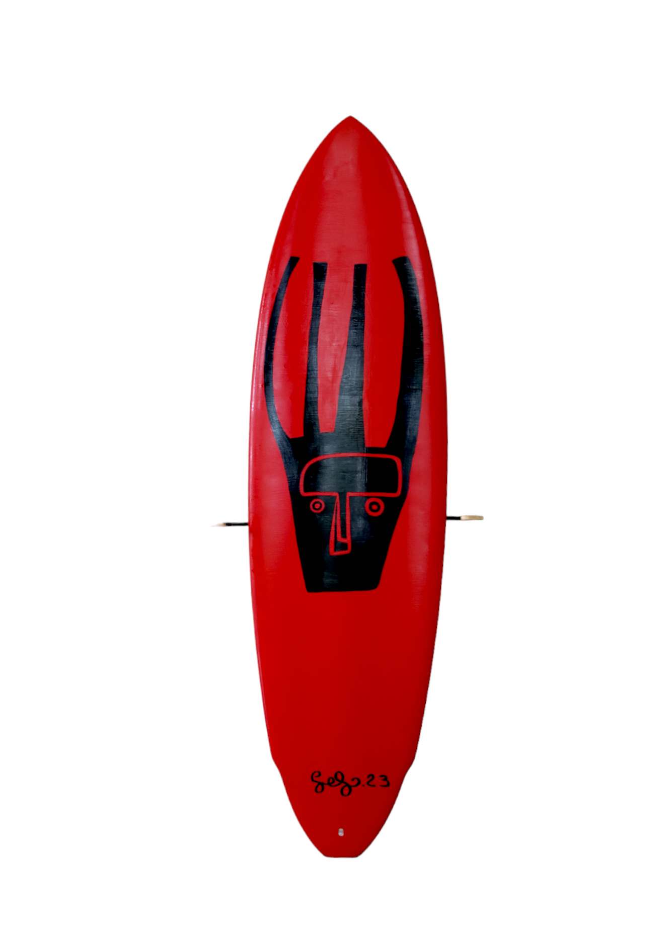 Benoit GONON de CHIENVILLE SURBOARD et David...