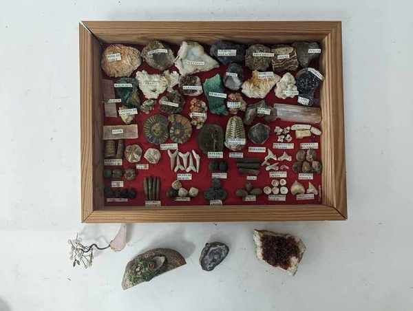 [MINERAUX et FOSSILES] - Tableau de collectionneur...
