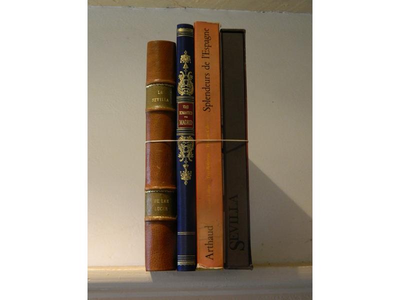 Réunion de 4 vol. grand formats illustrés...