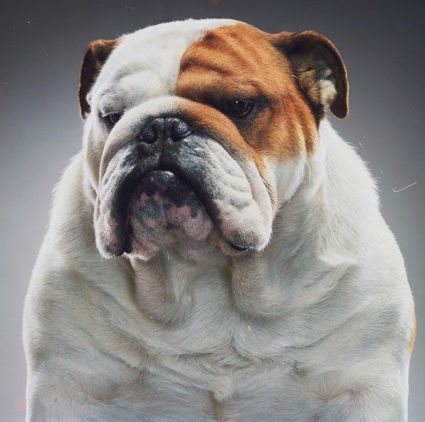 Tim FLACH (né en 1958)