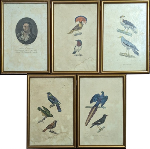 D'aprés Edouard TRAVIES