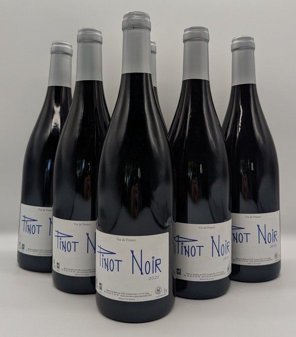 6 Blles VIN DE LOIRE rouge Domaine Biet Mise...