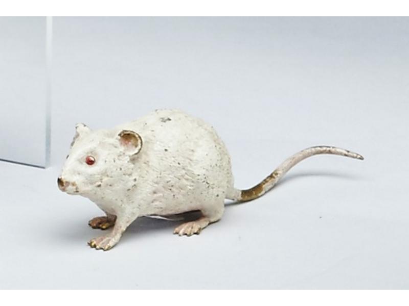 RAT BLANC en bronze polychrome, marqué déposé...