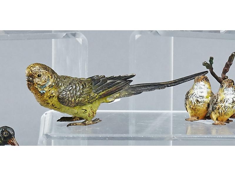 PERRUCHE en bronze polychrome.