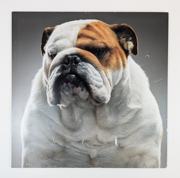 Tim FLACH (né en 1958)