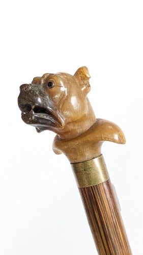 CANNE en palmier à pommeau "Bouton" zoomorphe...