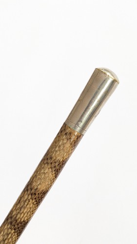 CANNE en bois gainé de peau de reptile teintée...