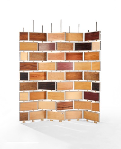 Pierre de PEYRECAVE (né en 1954)