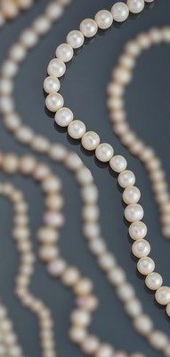 COLLIER DE PERLES de culture chocker. Fermoir...