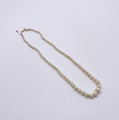 COLLIER DE PERLES de culture en chute. Fermoir...