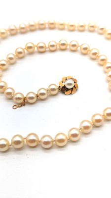 COLLIER DE PERLES DE CULTURE choker (6,7...