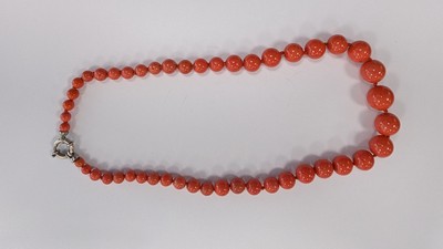 COLLIER de perles de corail en chute à monture...