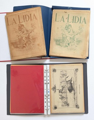 ENSEMBLE sur la tauromachie comprenant :