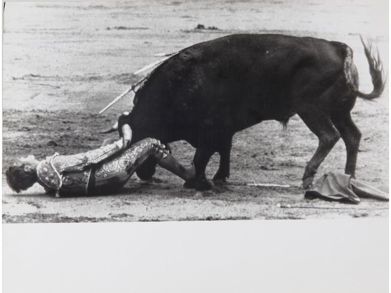 [CORRIDA] DEUX PHOTOGRAPHIES DE PRESSE en...