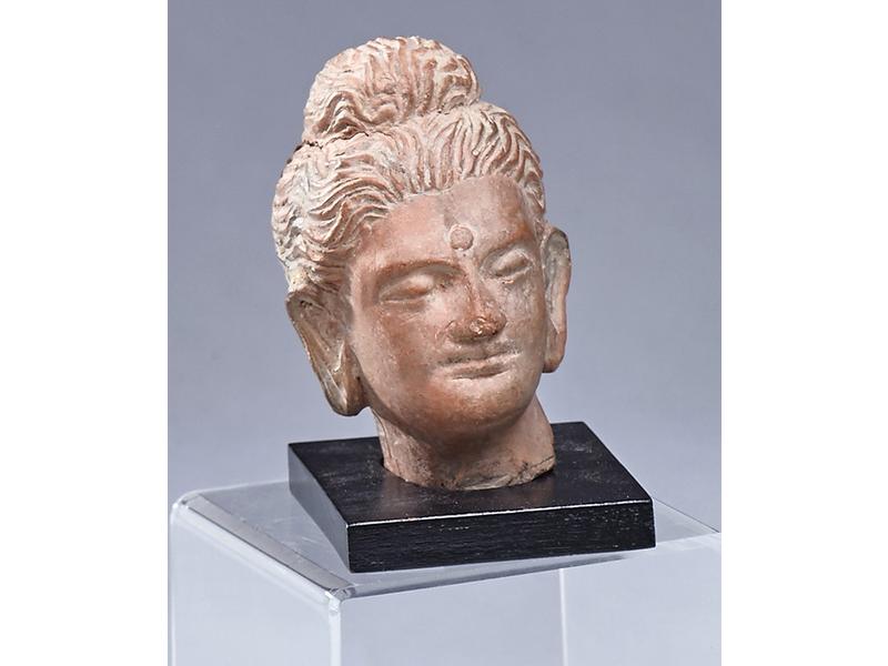 TÊTE D'HOMME en terre cuite sculpté, les...