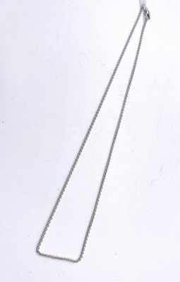 CHAÎNE en or gris (750).