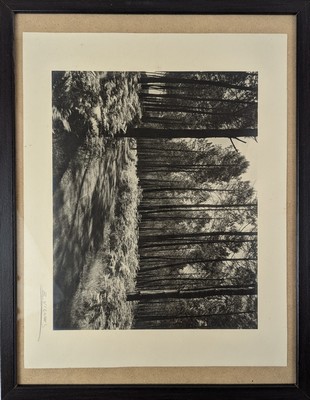 Emile VIGNES (1896-1983)