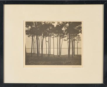 Emile VIGNES (1896-1983)